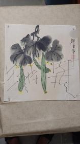 纯手绘花鸟画片 33*33 师白