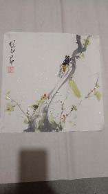 纯手绘花鸟斗方 款不识