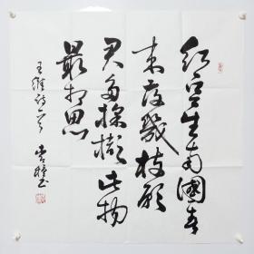 四尺斗方行书纯手写书法作品条幅精品临沂老书法家范林贵书法作品笔名青檀名家精品字画   不是省书协的，因为事业单位的所以没进省书协。