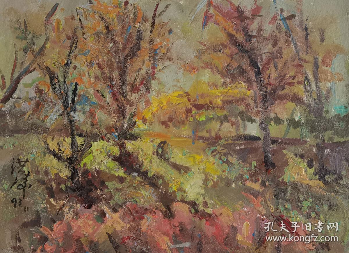 What Is 38 X 28 Cm In Inches