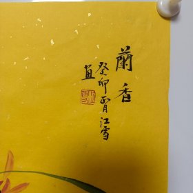 国画兰花作品画一尺斗方字画书画写意花鸟画小品 佛教黄宣纸创作 江雪全新作品