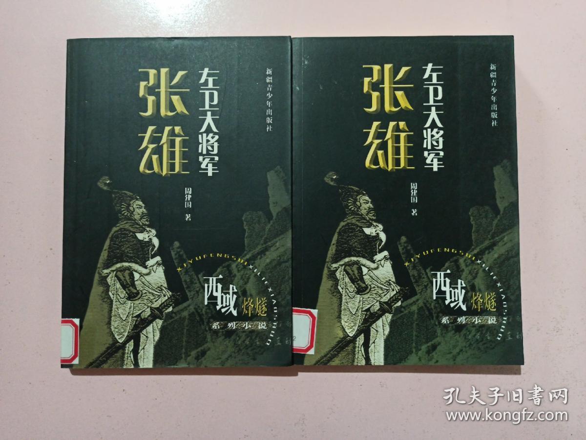 左卫大将军张雄上下册西域烽燧系列小说馆藏书