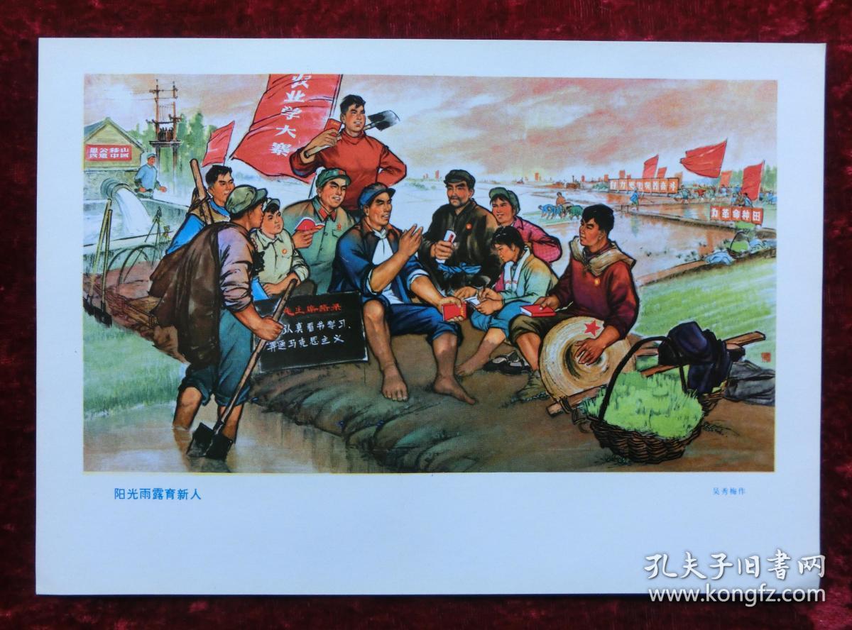 16开宣传画:阳光雨露育新人(农业学大寨)