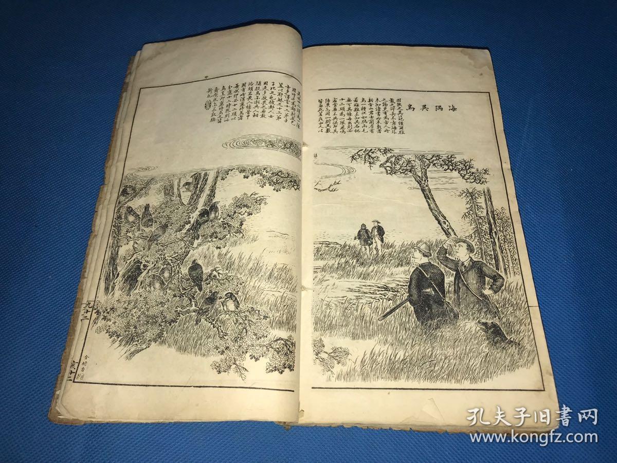 晚清 石印 《点石斋画报》亥集 一厚册全 24.3*14.