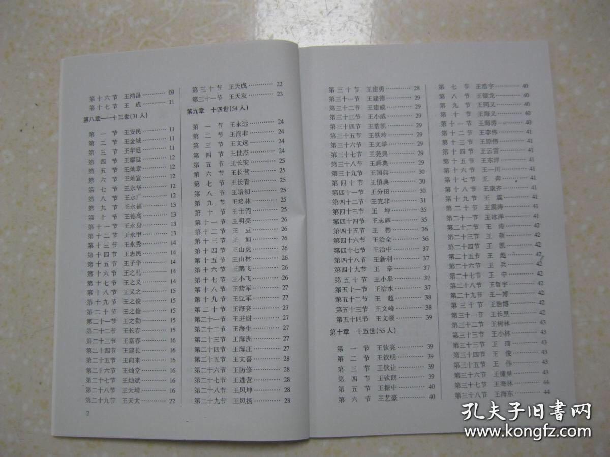 王新庄王氏家谱(王氏宗族三百年,河南省周口市沈丘县冯营乡王新庄村一