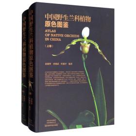 中国野生兰科植物原色图鉴（套装上下册）