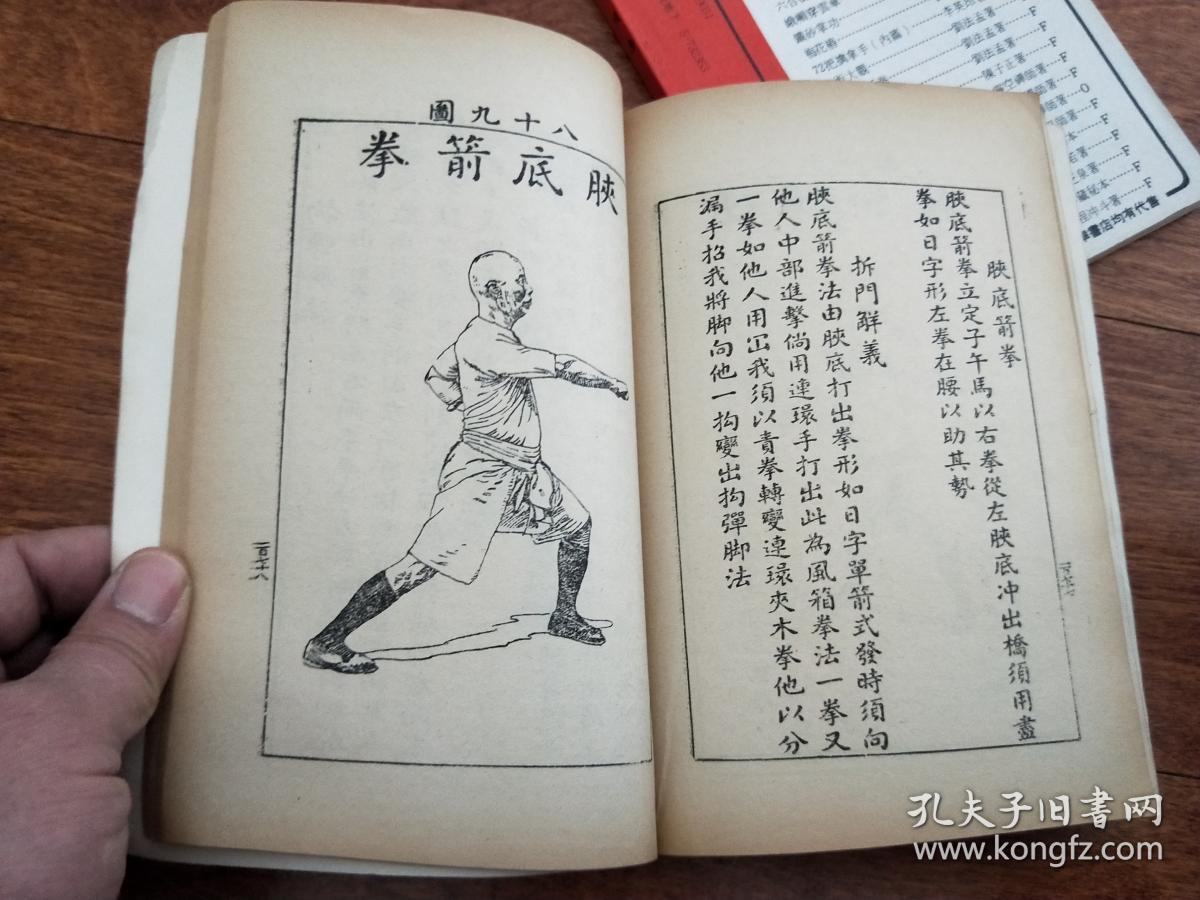 稀缺经典铁线拳虎鹤双形南派洪家绝技系列全二册经典珍藏版南派宗师