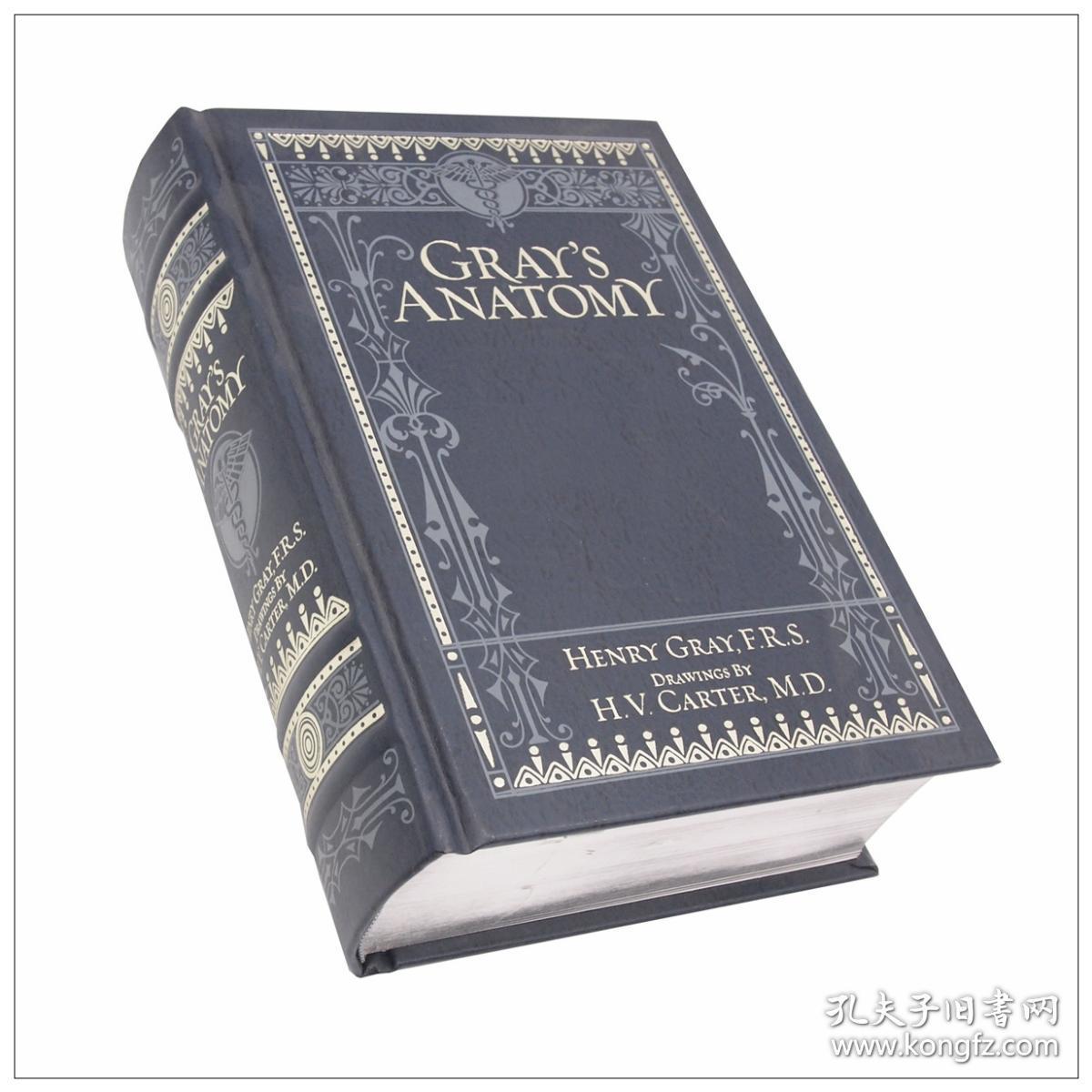 格雷解剖学图解 grays anatomy (barnes & noble collectible