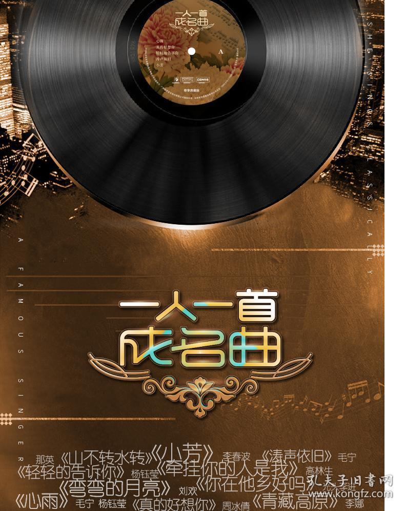 {正版}一人一首成名曲 lp黑胶唱片 经典歌曲留声机电唱机专用12寸大