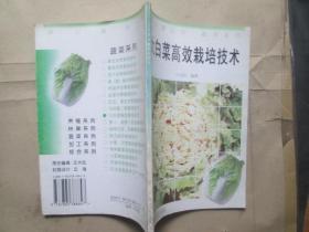大白菜高效栽培技术：奔小康丛书：蔬菜系列