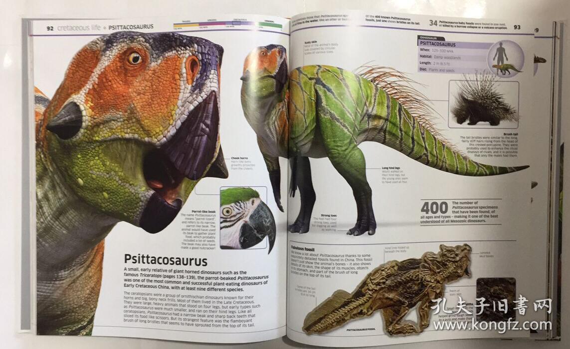 英文原版 knowledge encyclopedia dinosaur 恐龙百科全书 dk 儿童