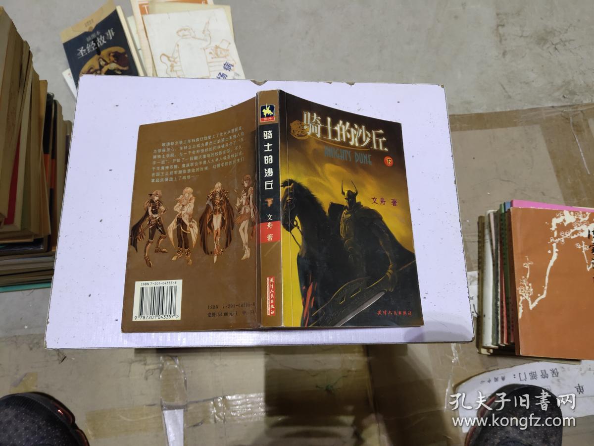 骑士的沙丘(下)