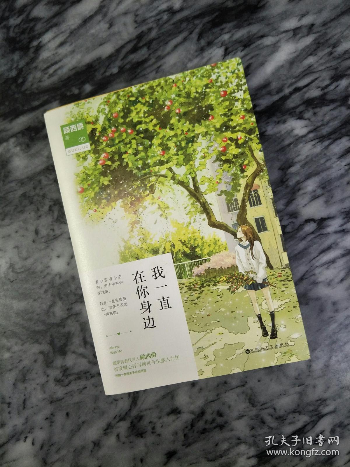 我一直在你身边