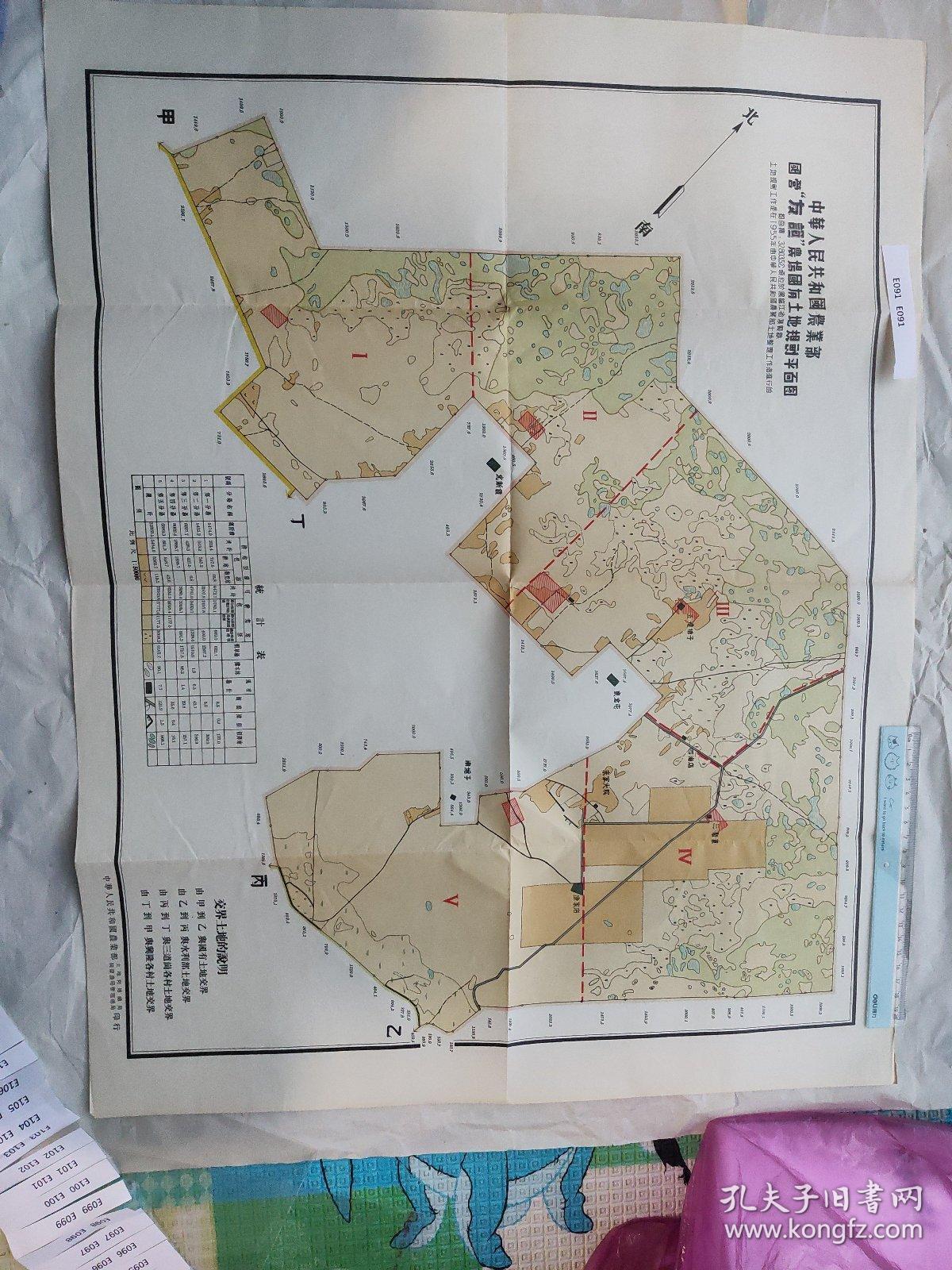 第一农场 国营友谊农场 土地规划主要资料 土地规划平面图 土地平面图