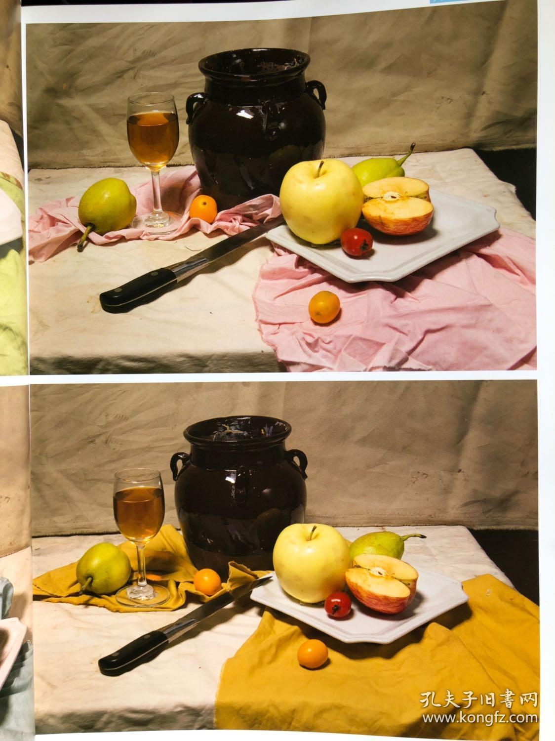 色彩照片书国美极致精品教程系列丛书