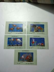 金鱼邮票收藏纪念(5枚合售)