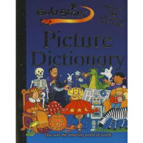 儿童图解词典：Gold Stars Picture Dictionary