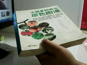 中国果树病虫原色图谱【代售】