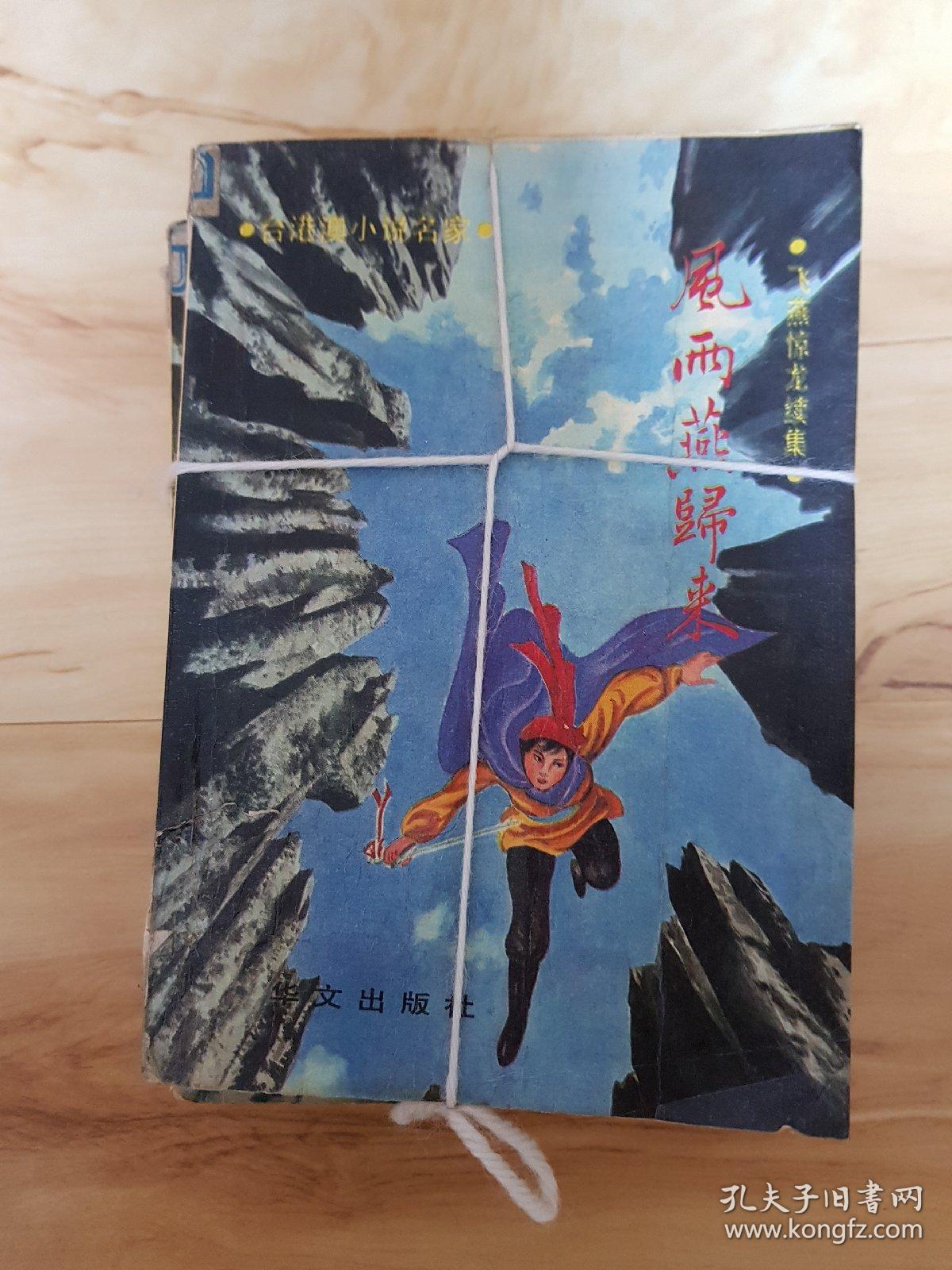 风雨燕归来(1-4册全一套)——飞燕惊龙续集