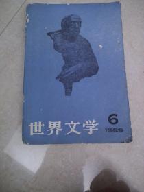 世界文学（6）