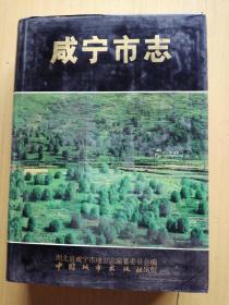 咸宁市志