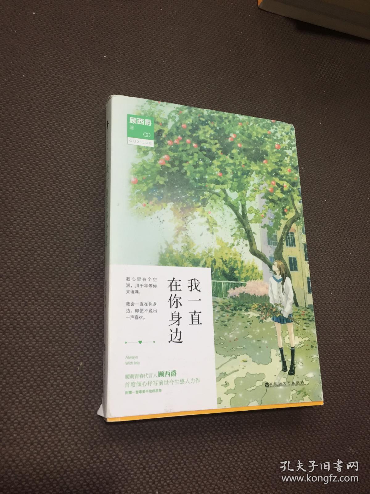 我一直在你身边