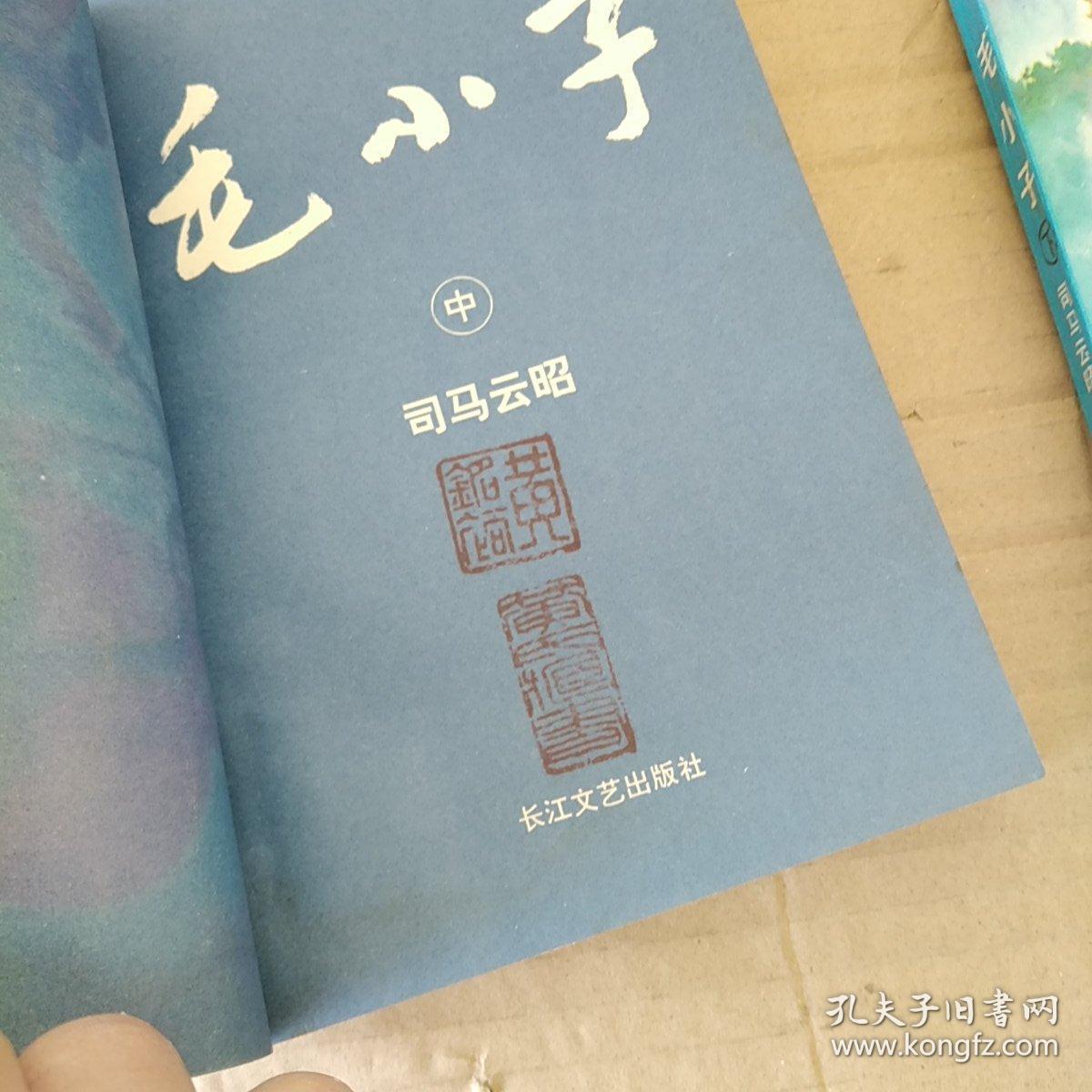 毛小子(上中下)三册