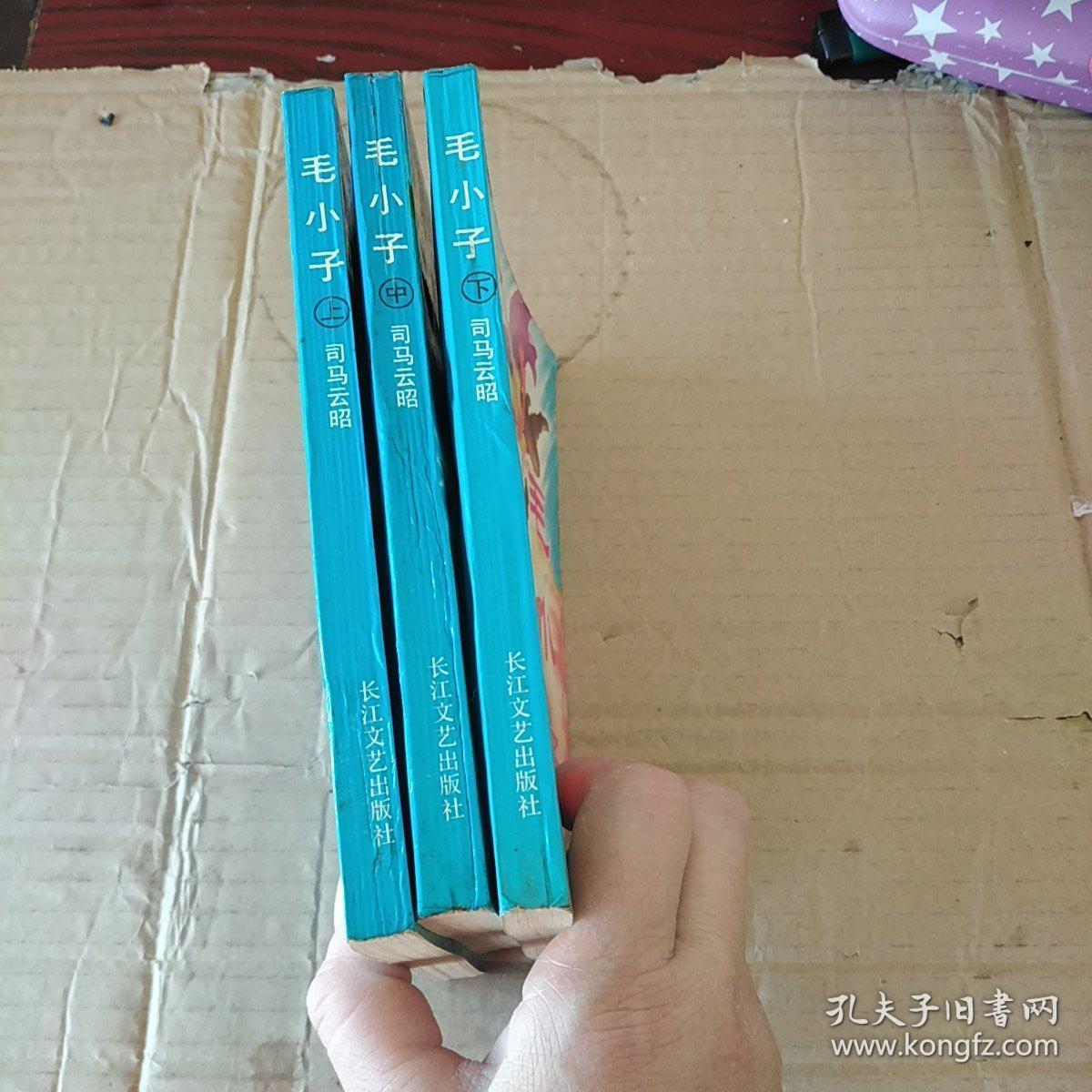 毛小子(上中下)三册