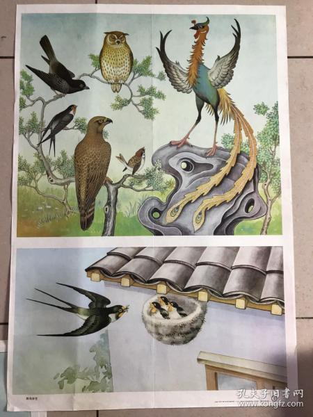 《群鸟学艺》教学挂图图片宣传画 两开