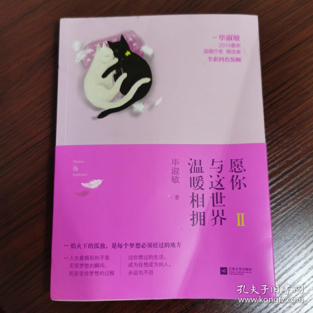 愿你与这世界温暖相拥2:给所有不安里踮脚张望未来的年轻人
