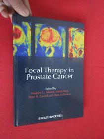 Focal Therapy in Prostate Cancer  （ 16开，硬精装） 【详见图】