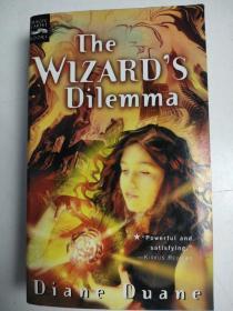 The Wizards Dilemma 巫师的困境 英文版 正版库存特价英文小说