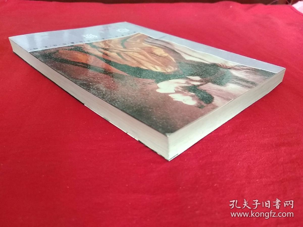 心锁(郭良蕙作品系列)