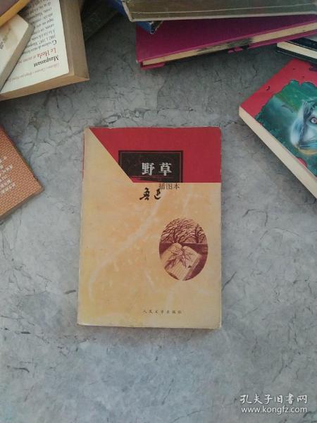 野草野草插图本