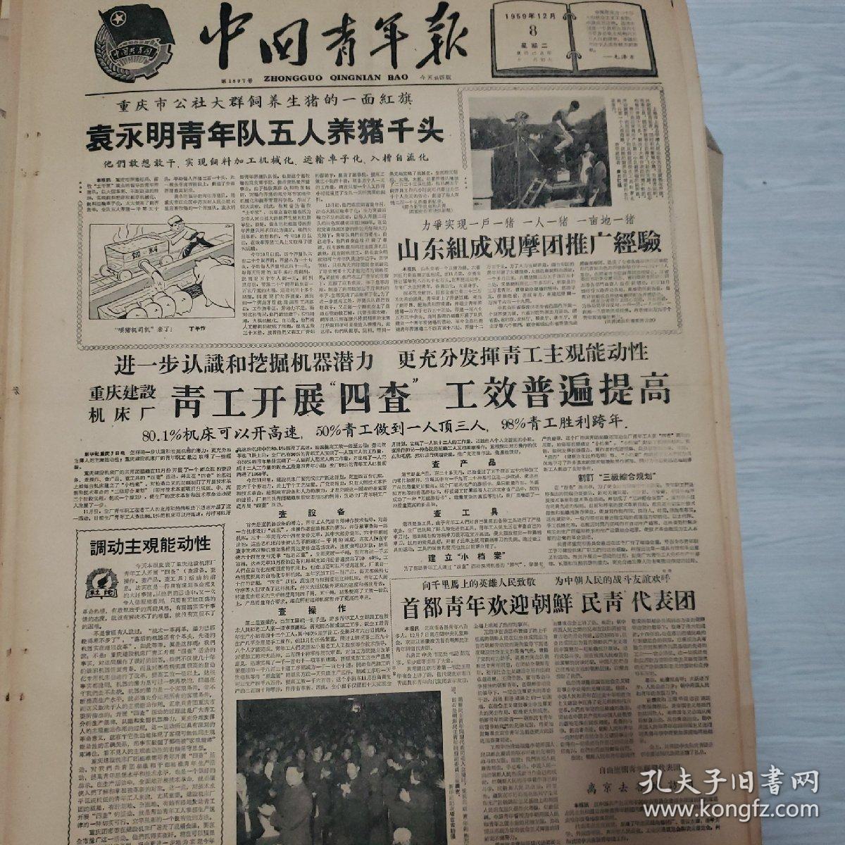 老报纸中国青年报1959年12月8日星期二(4开四版)山东组成观摩团推广