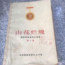 山花烂漫 湖南农业战线红旗集 第一集