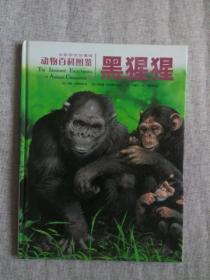 动物百科图鉴 黑猩猩