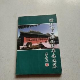 濮阳市文物保护单位通览