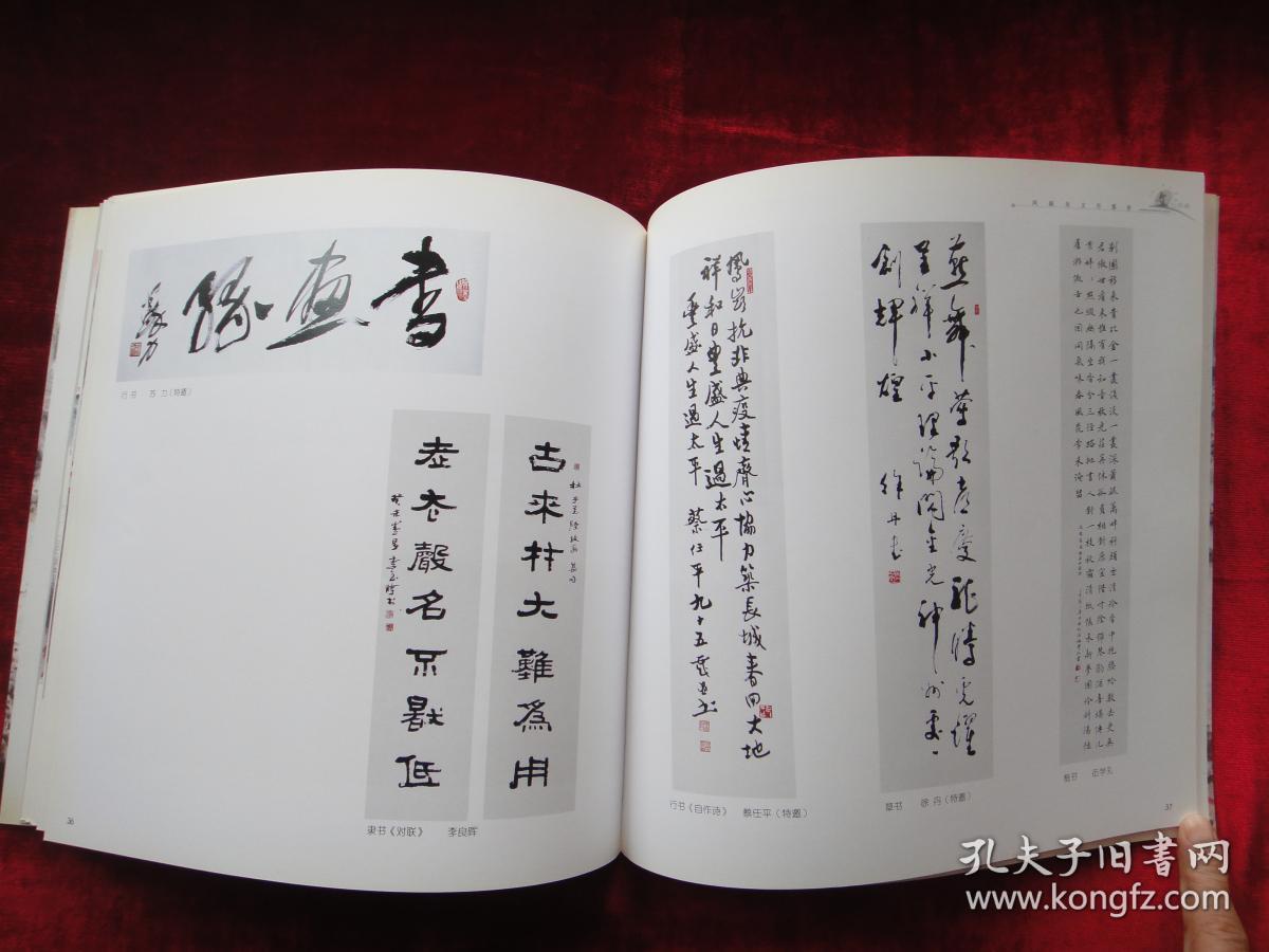 凤彩龙文丹墨香2003年顺德大良美术书法入选展览集