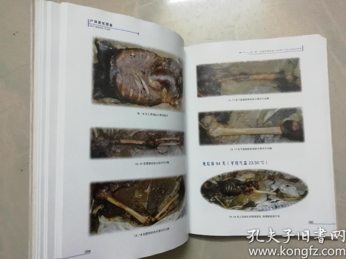 购买仅1件在售,欲购从速数量上书时间2020-03-21品相九五品定价￥98