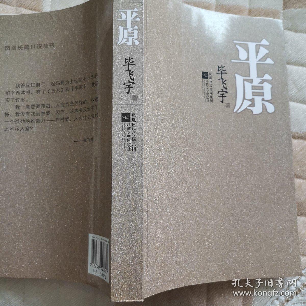 平原(毕飞宇名作)