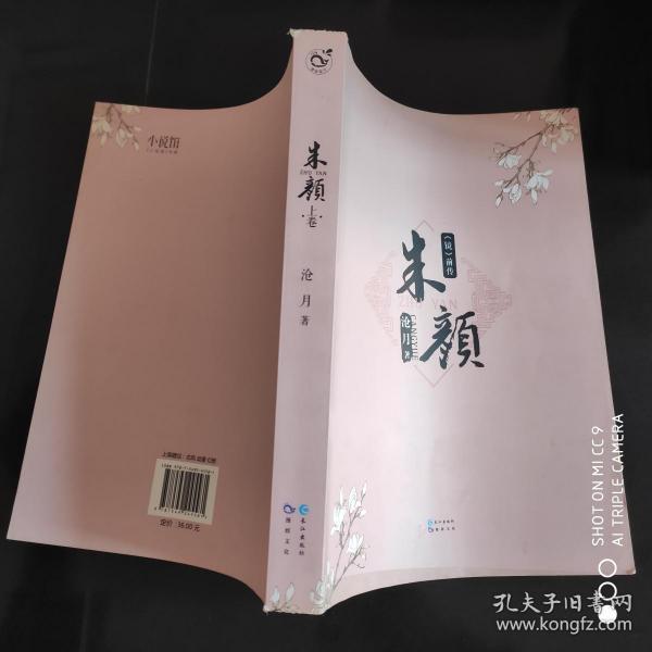 朱颜(沧月 著)_简介_价格_文学书籍_孔网