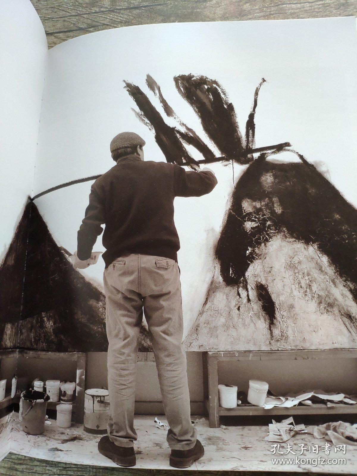 尚扬 清华大学美术学院当代艺术研究所 布面精装 讲述了在当今中国画