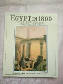 EGYPT IN 1800 SCENES FROM NAPOLEON S DESCRIPTION DE L EGYPTE 1800年的埃及 英文原版 平装大16开铜版纸画册