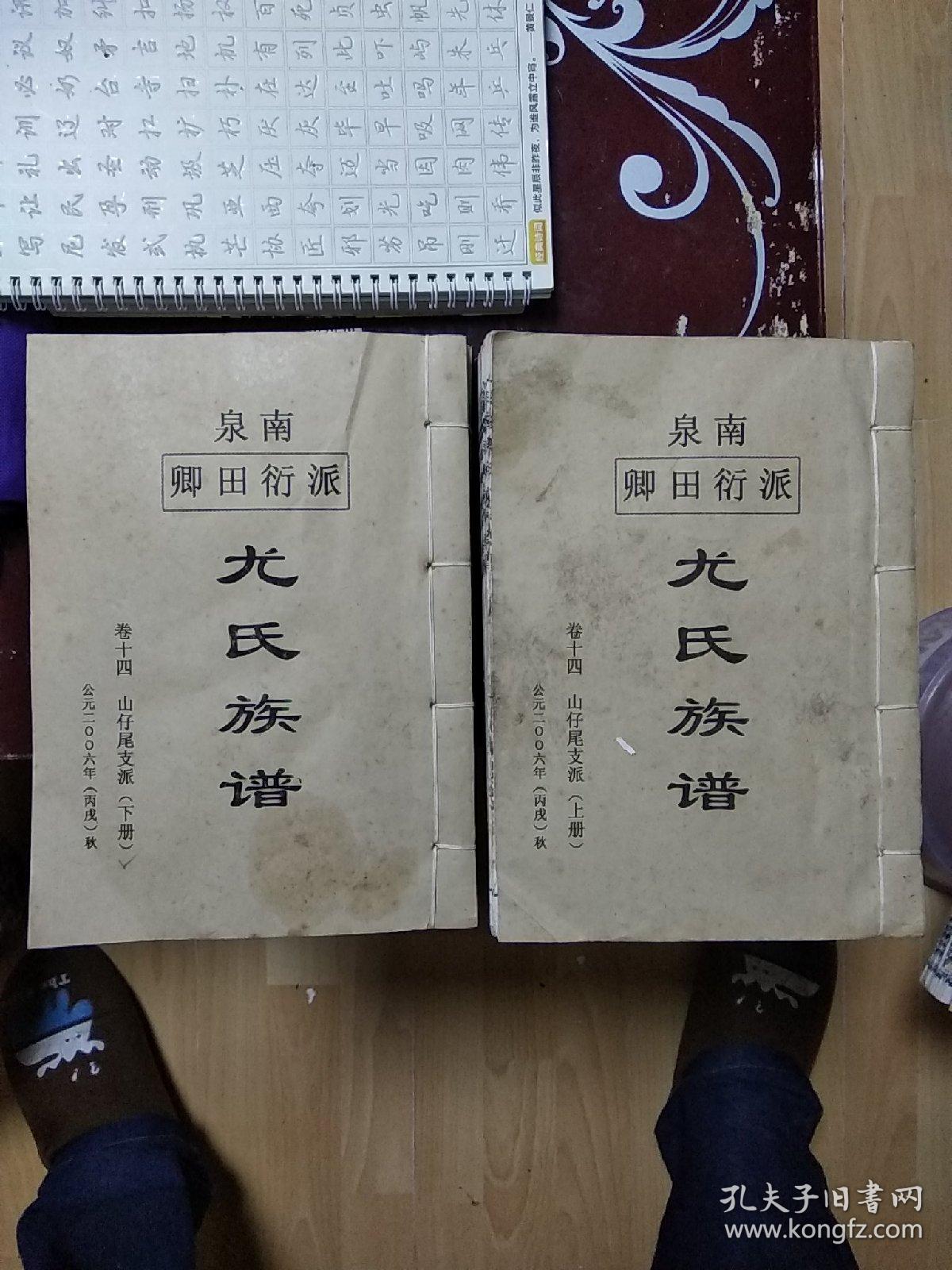 泉南卿田衍派尤氏族谱卷十四山仔尾支派上下册线装本