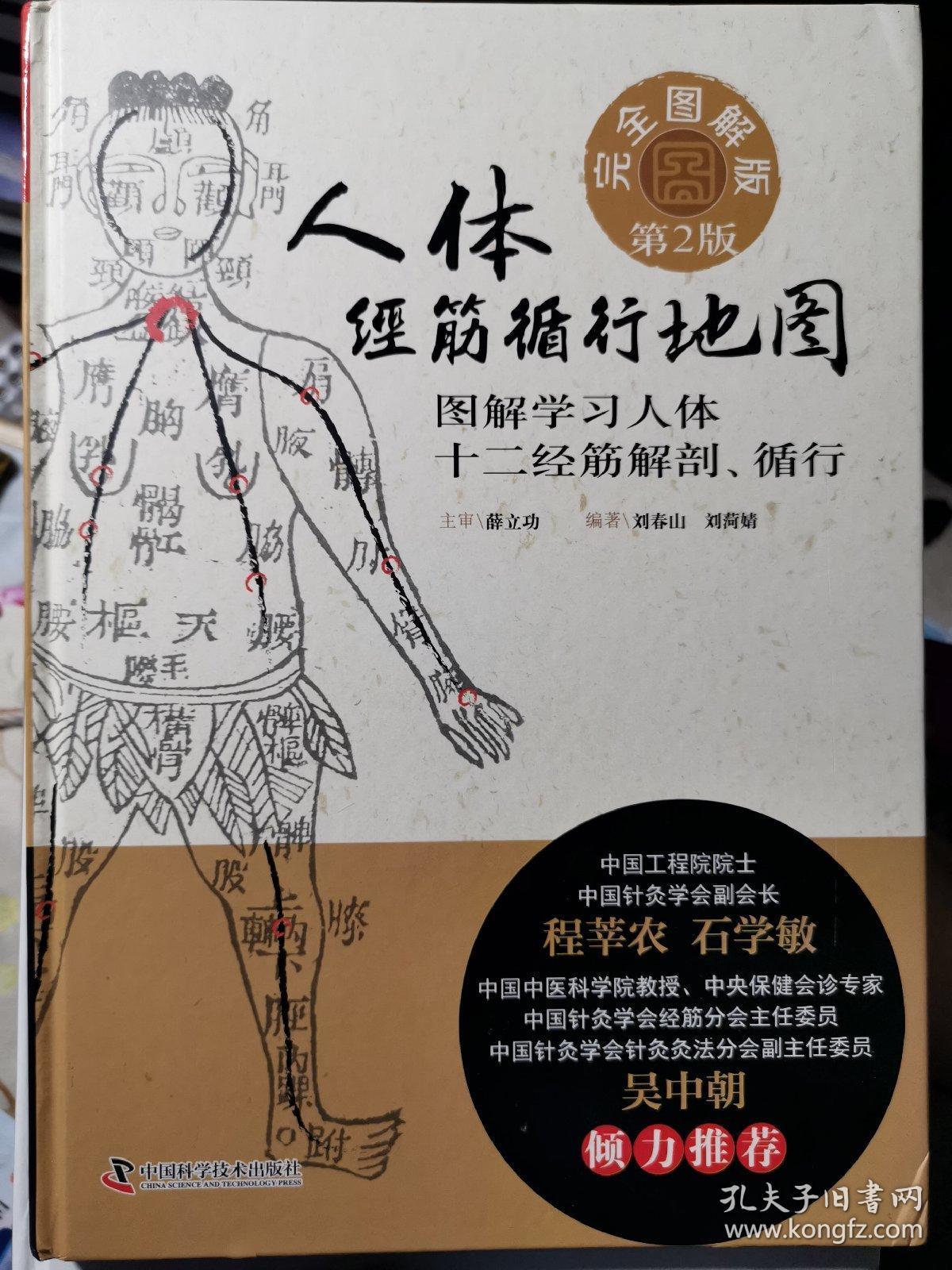人体经筋循行地图
