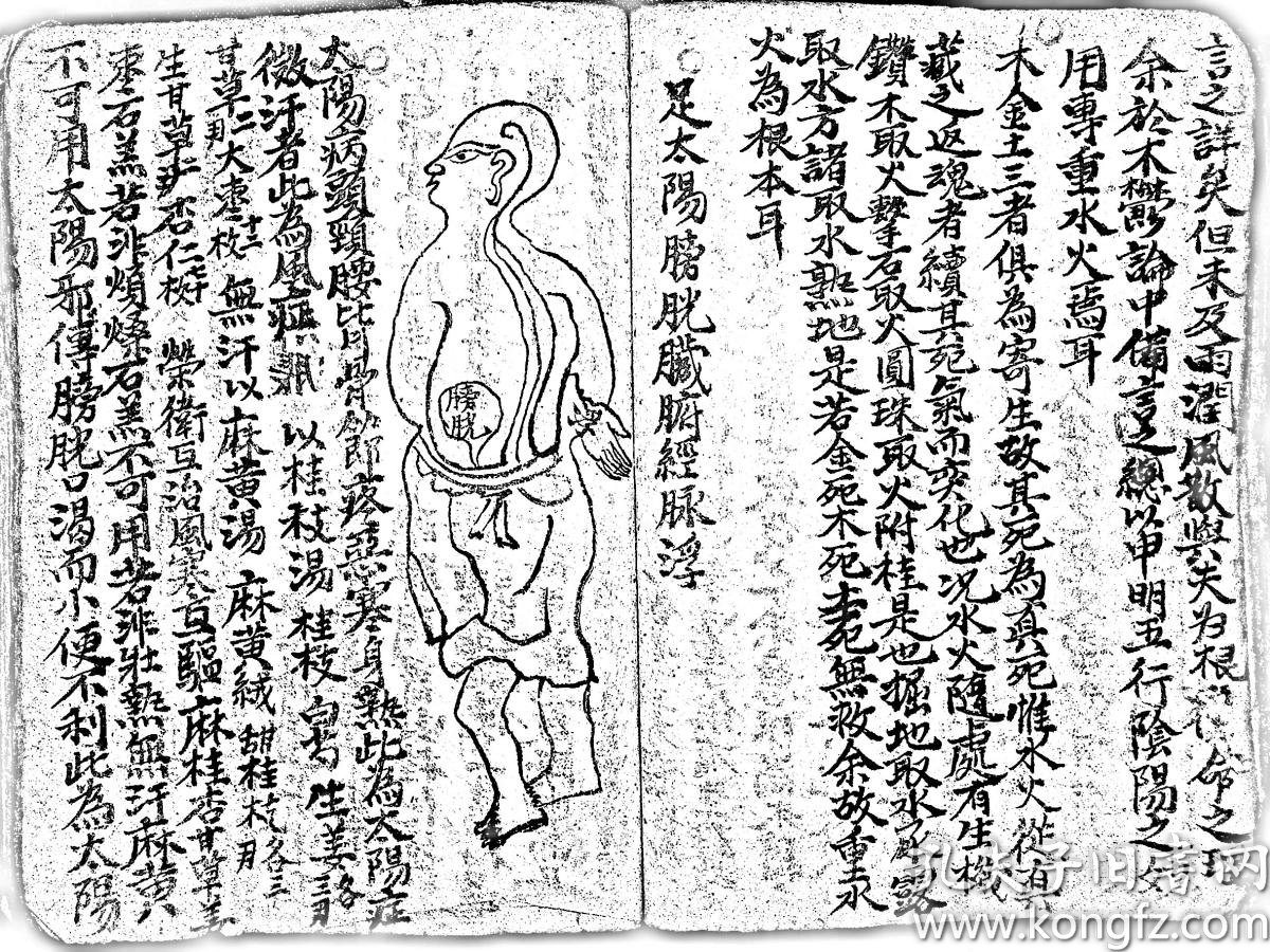 【提供资料信息服务】师傅传秘诀方,老中医古方秘本手