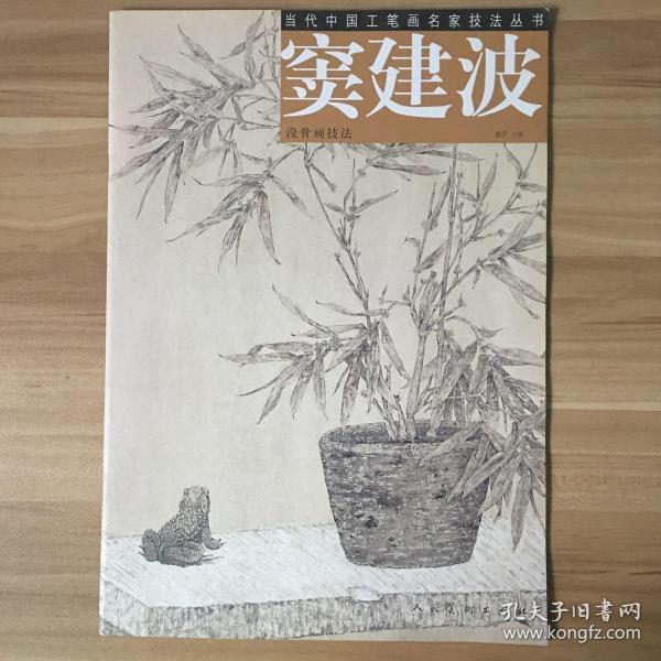 窦建波(赵宁 编;窦建波 绘)_简介_价格_艺术书籍_孔网