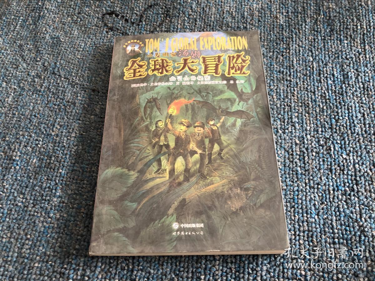 小发明家汤姆全球大冒险:幽灵山的秘密