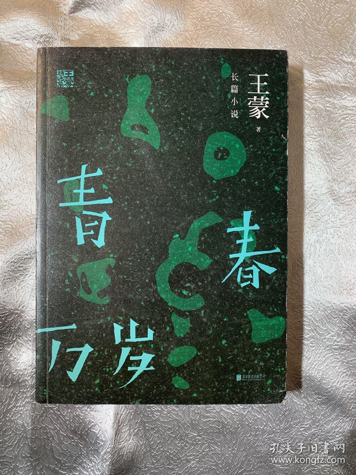 王蒙精选集:青春万岁
